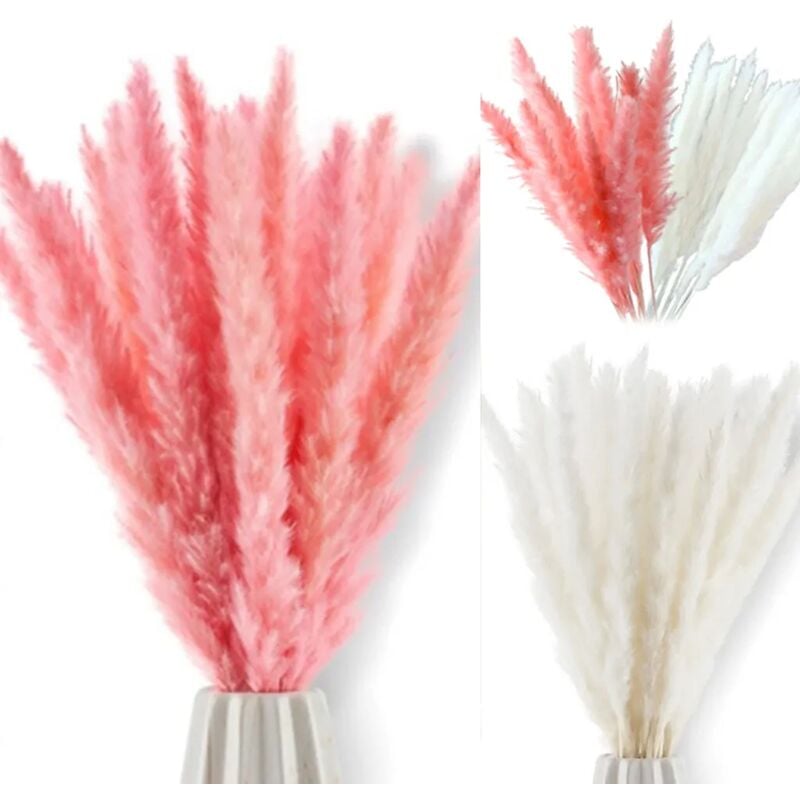 foto del prodotto fortuneville 30 pezzi di fiori secchi naturali bianchi e rosa fai da te pampas grass phragmites home party decoration