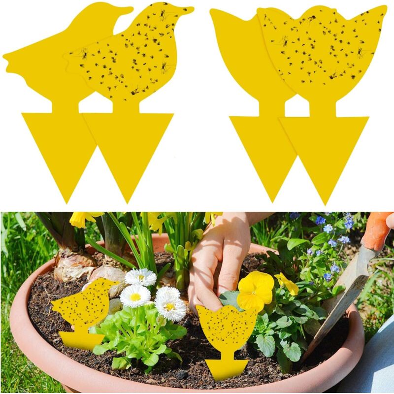 foto del prodotto fortuneville 48 pezzi plug in flytrap piastra gialla adesivo giallo protezione delle piante contro afidi, mosche fogliari e parassiti, ideale per