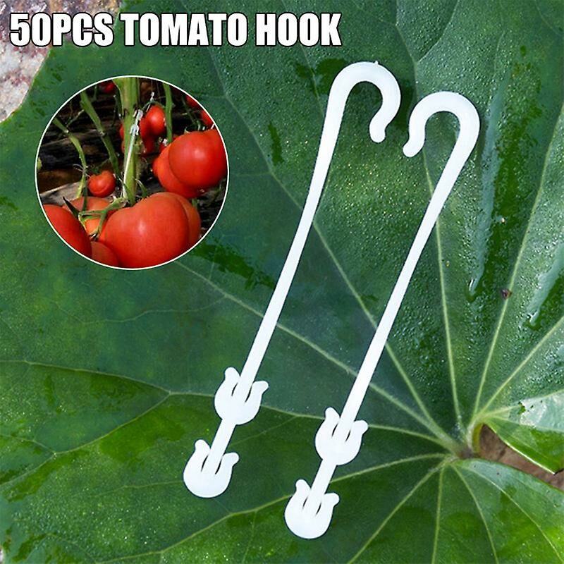 foto del prodotto fortuneville 50 pz j a forma di frutta pomodoro ciliegio gancio per l orecchio orto pianta uva supporto viti di fissaggio pinze traliccio fibbia