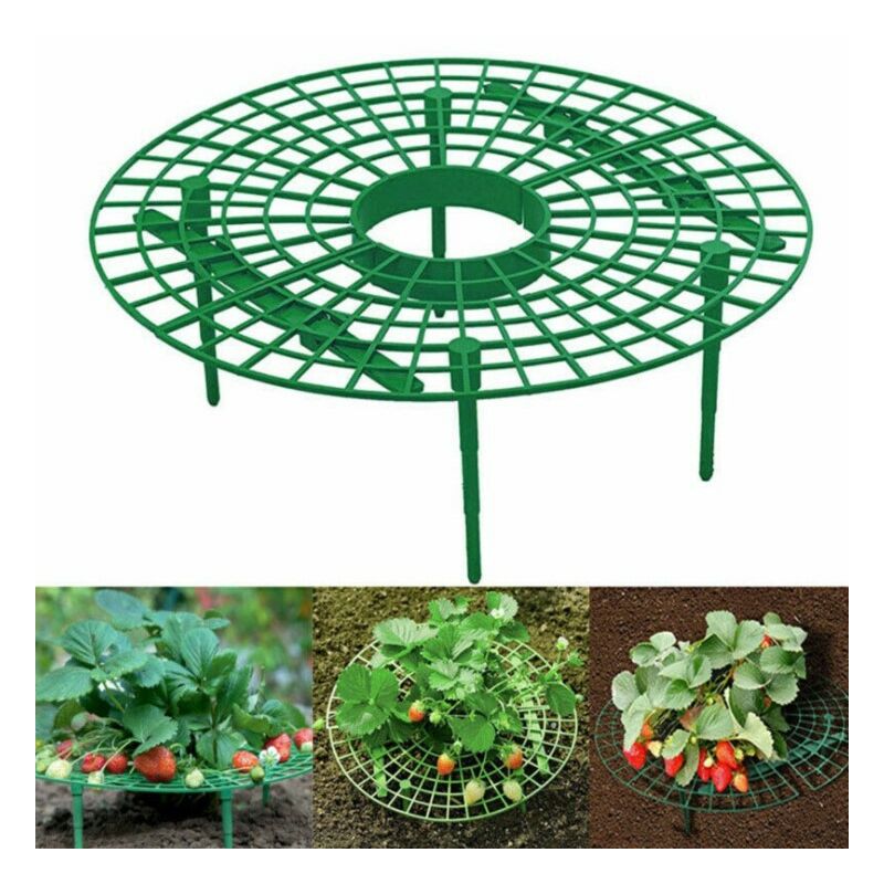 foto del prodotto fortuneville 6 pezzi supporto per telaio fragola, supporto per piantare supporto per piante sollevare il frutto