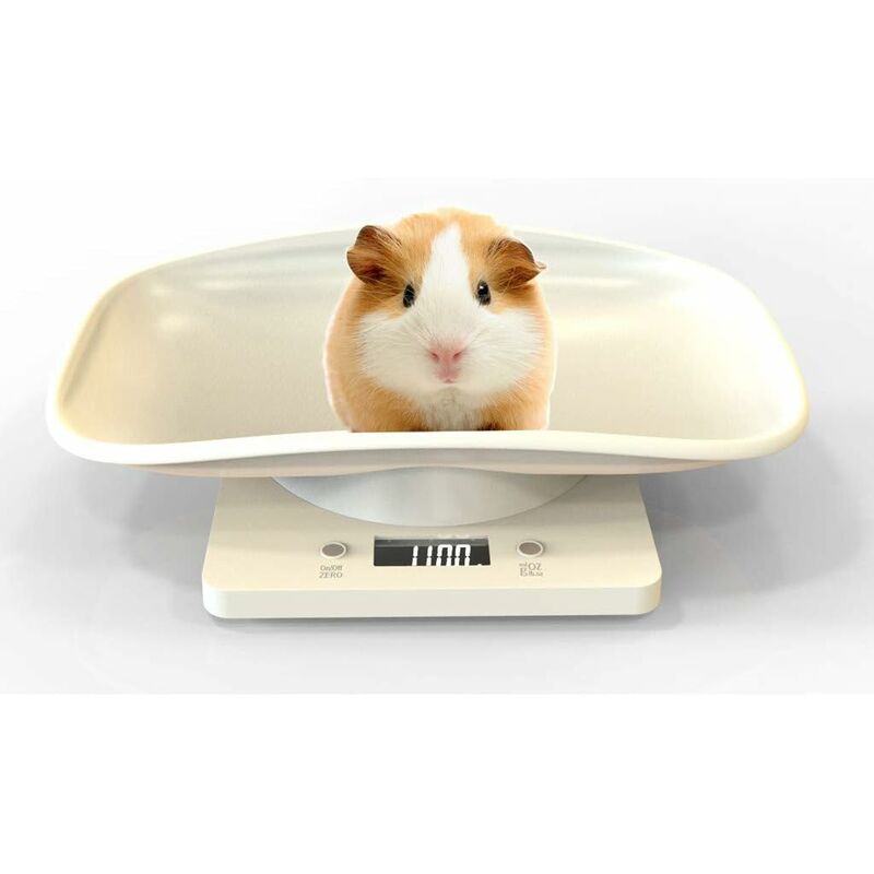 foto del prodotto fortuneville bilancia digitale per animali con display lcd, 4 modalit di pesatura oz ml lb g per animali domestici e cucina, misurazione di