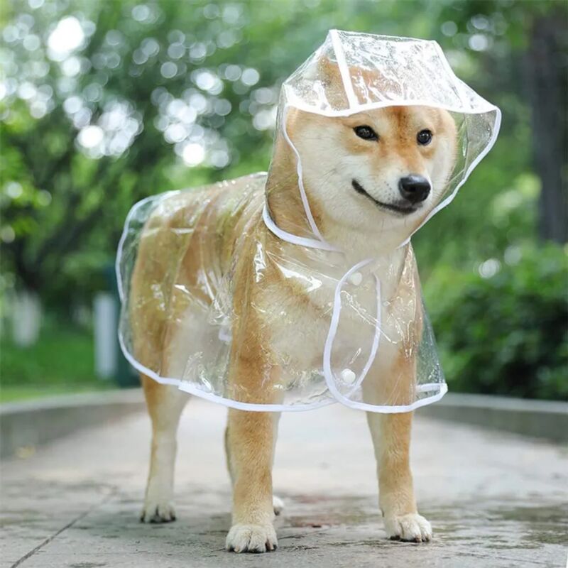 foto del prodotto fortuneville cappotto impermeabile per cani e gatti con cappuccio regolabile impermeabile in pvc trasparente ultraleggero per cani di piccola