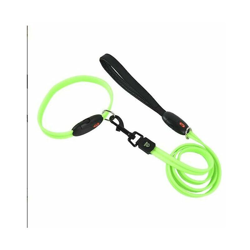foto del prodotto fortuneville collare per cani a led ricaricabile usb con luce lampeggiante resistente all acqua