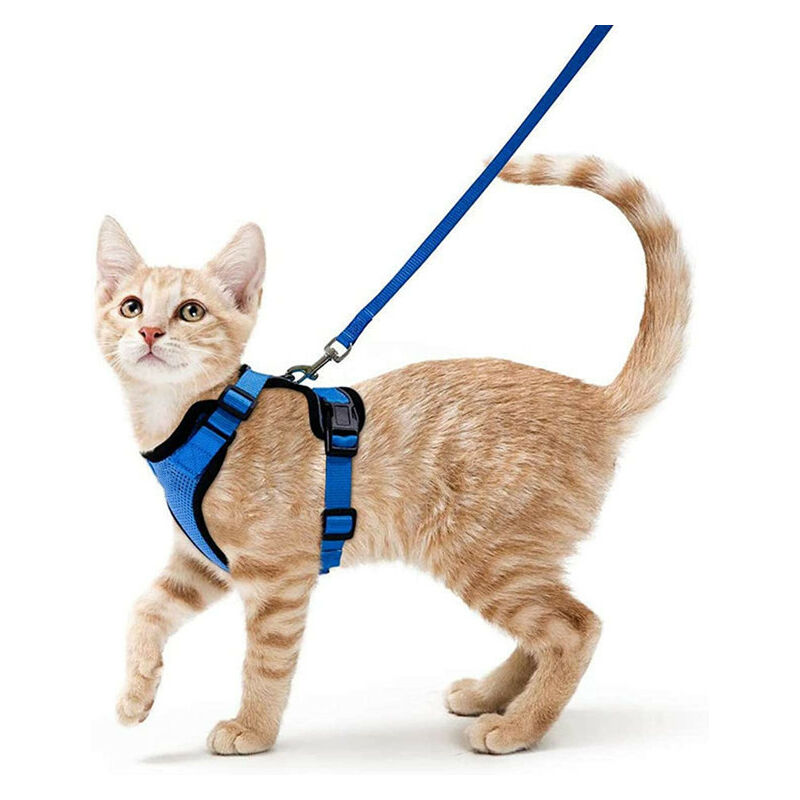 foto del prodotto fortuneville gilet riflettente traspirante regolabile per gattini, collare e guinzagli per imbracatura di sicurezza anti fuga per conigli, gatti e