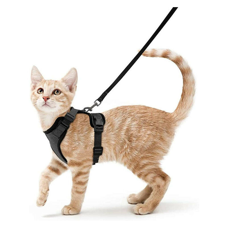 foto del prodotto fortuneville gilet riflettente traspirante regolabile per gattini, collare e guinzagli per imbracatura di sicurezza anti fuga per conigli, gatti e