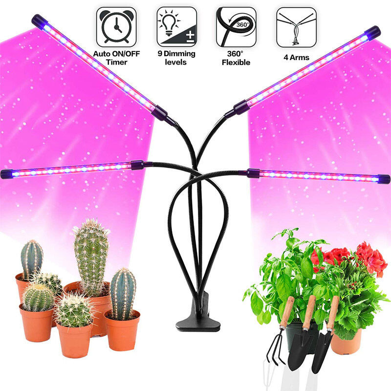 foto del prodotto fortuneville luci progressive, 100 luci da giardino led a spettro completo con timer 3 modalit colore, 10 intensit luce da giardinaggio bonsai, 4