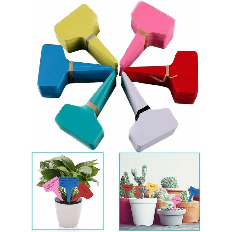 foto del prodotto fortuneville marcatori ed etichette per piante etichette per formaggi segno etichetta da giardino orto etichette per piantine piccolo strumento