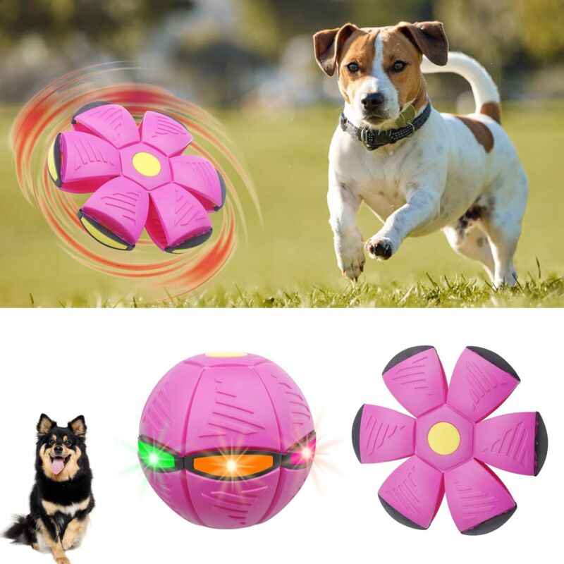 foto del prodotto fortuneville palla per frisbee, palla per piattino volante per animali domestici, poggiapiedi per decompressione, palla per piattino per frisbee,
