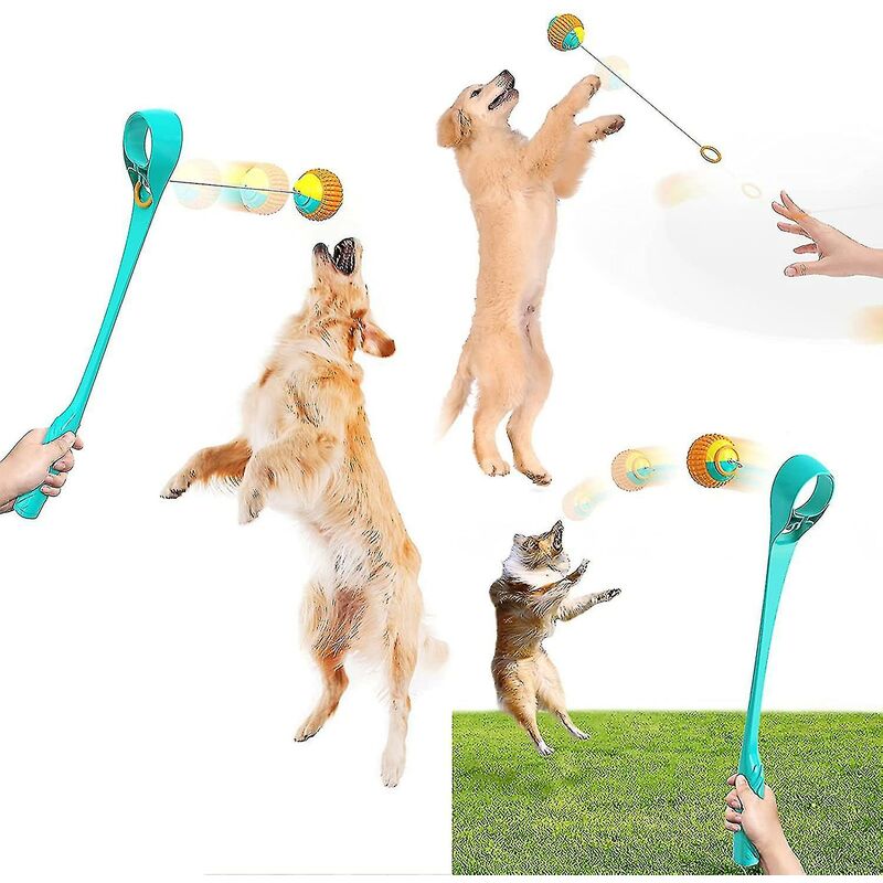 foto del prodotto fortuneville palle per cani, lanciatore di palle per cani, palle uditive per cani, lanciatore di palle