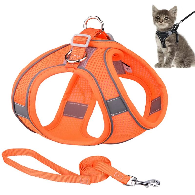 foto del prodotto fortuneville pettorina per gatti con guinzaglio, guinzaglio anti fuga per gatti, pettorina per gatti regolabile, pettorina morbida per cani gatti,