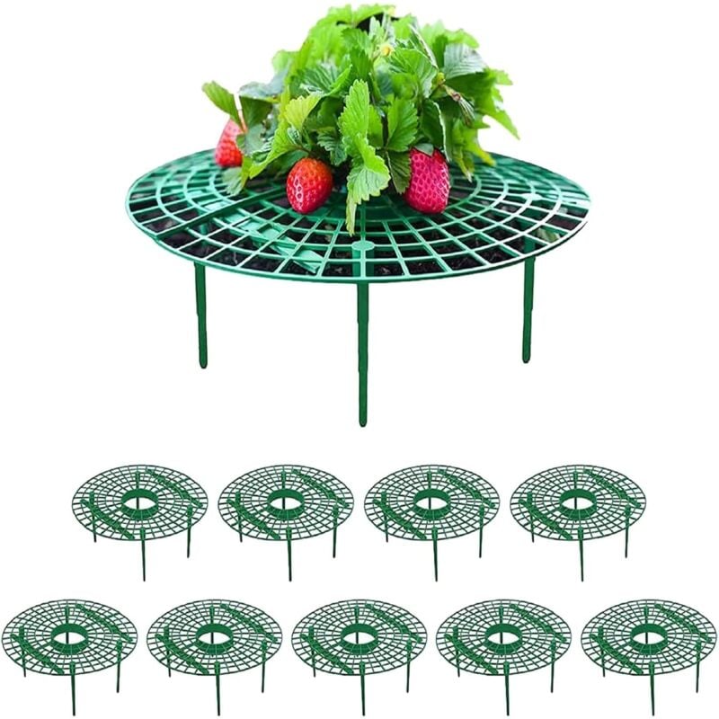 foto del prodotto fortuneville proteggi le fragole da polvere e lumache supporti per piante rimovibili reti per fragole per prevenire marciumi e muffe supporti per