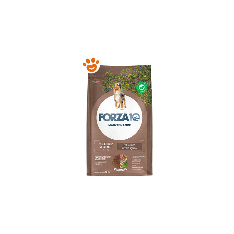 foto del prodotto forza10 dog maintenance medium maintenance agnello e riso forza10 dog maintenance medium maintenance agnello e riso sacco da 12 kg