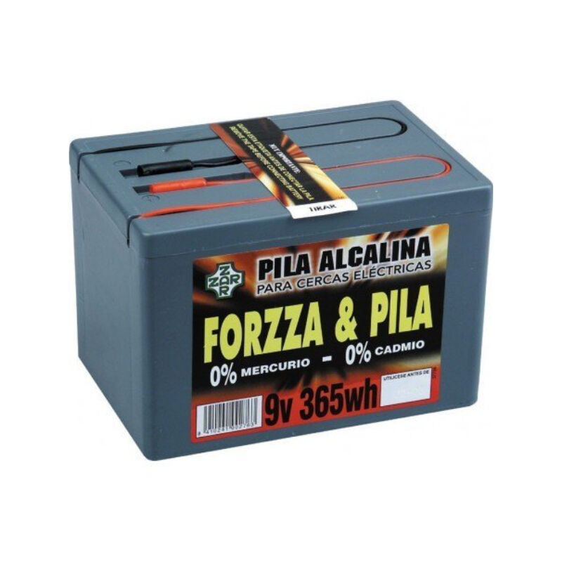 foto del prodotto forzza 9 v 365