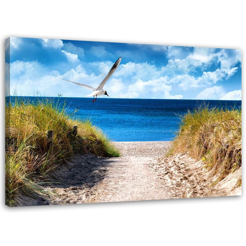 foto del prodotto foto su tela spiaggia dune di mare gabbiani 60x40