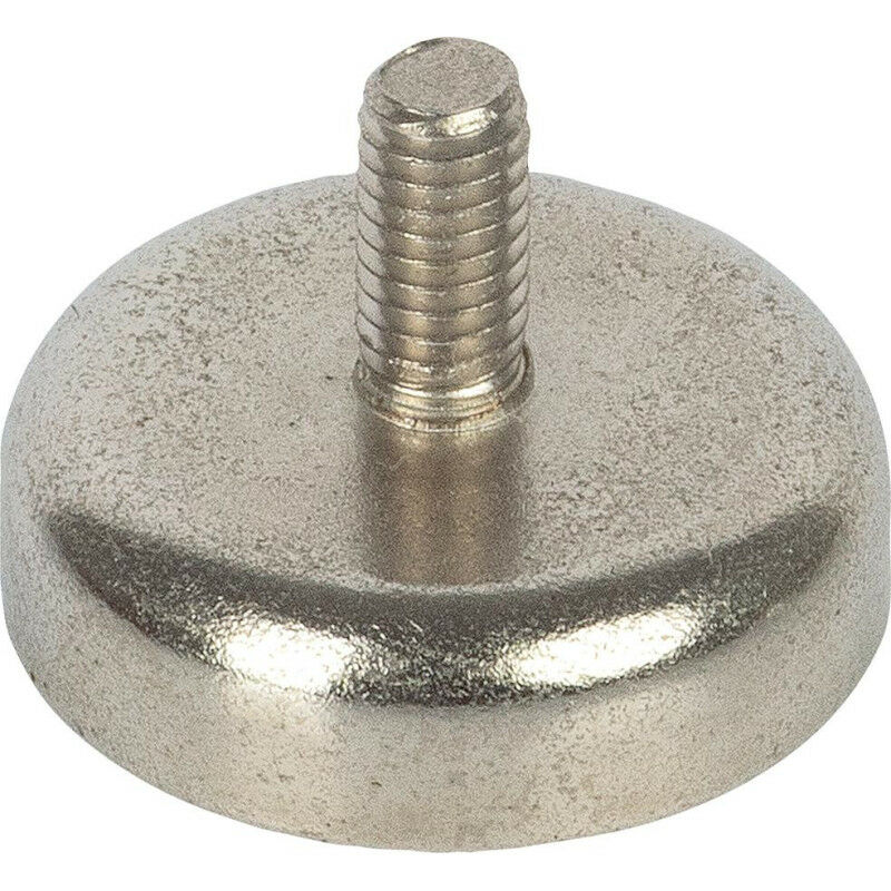foto del prodotto fp magnete in neo. 20.h14 pentola. con contenuto di viti m4.sil 1