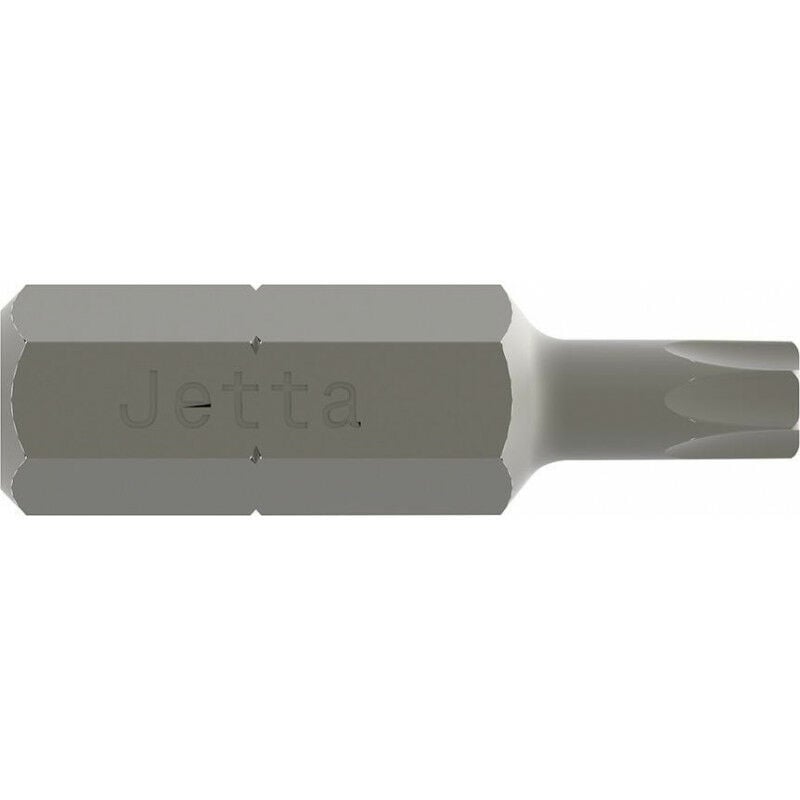 foto del prodotto fp t10x25 schipi in acciaio in sacchetto di plastica per 100 