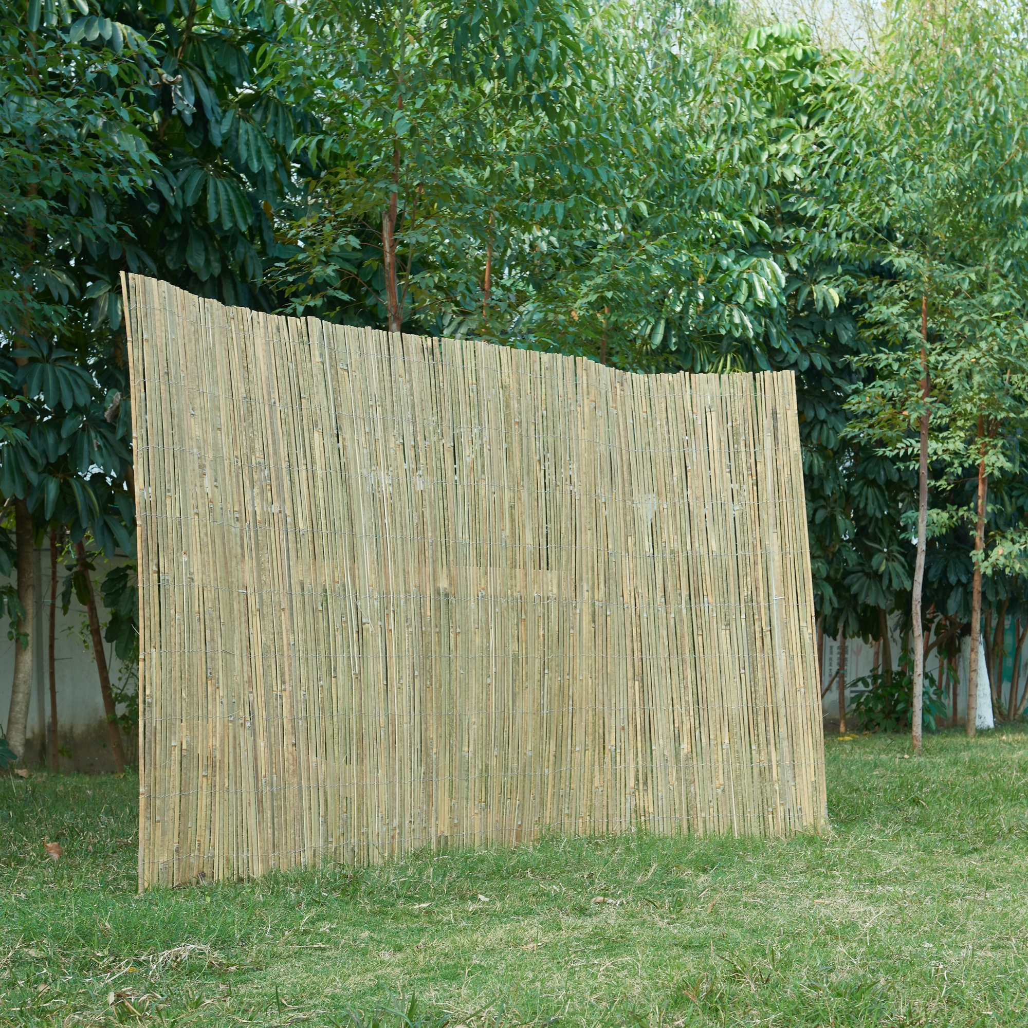 foto del prodotto frangivista a tappetino baarle in bamb 180 x 500 cm casa.pro