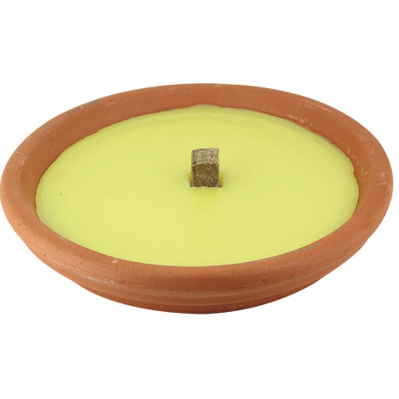 foto del prodotto fraschetti ceri citronella cero in vaso coccio terracotta diametro 11 cm 1pz 34619 