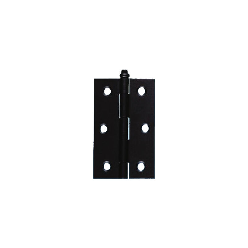 foto del prodotto fraschetti cerniera piana stretta art. 5005 a10 art. a10 mm. 30x21 spessore 0,7 conf. 50 pz