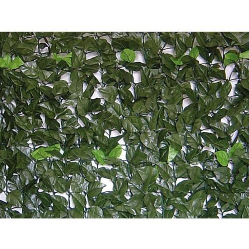 foto del prodotto fraschetti - siepe evergreen brixo lauro 1,5x3mt