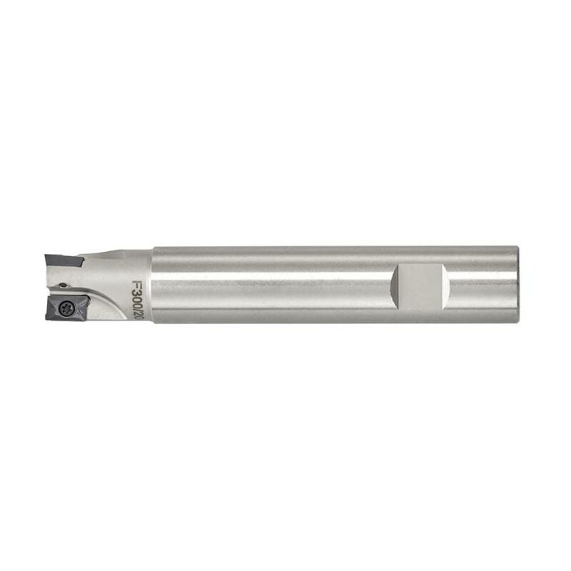 foto del prodotto fresa a inserto fervi f300 14