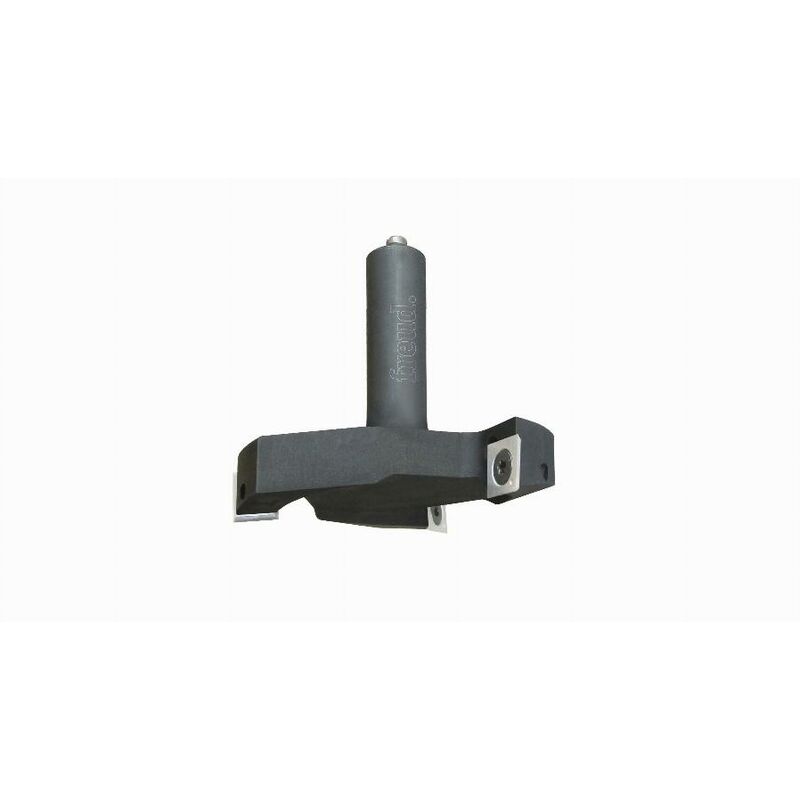 foto del prodotto fresa frontale freud 60 h13,5 80 q12 z2 f03fr03950 nc12m60n