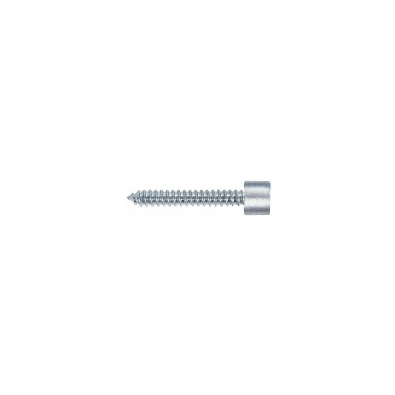 foto del prodotto friulsider vite autofilettante zincata tc con esagono incassato mm. 4,8x25 friulsider 5 ct