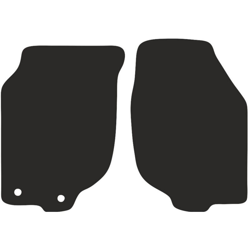 foto del prodotto frontale basic per rover 200 hatchback 2000 2005