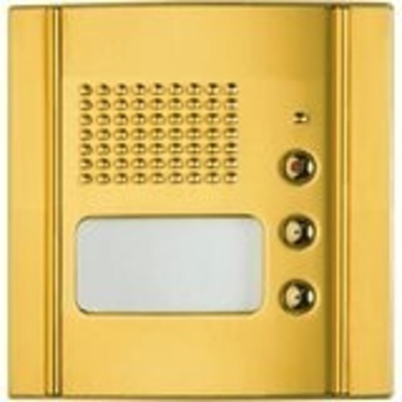 foto del prodotto frontale fonico 2 pulsanti di chiamata allbrass sfera bticino cod. 333125 