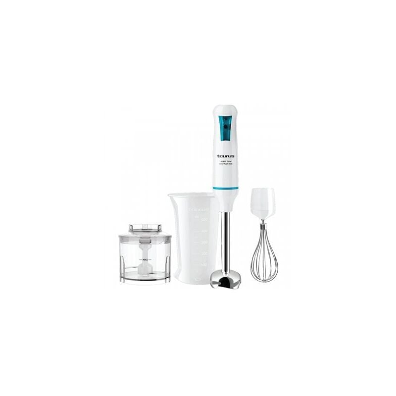 foto del prodotto frullatore a immersione in acciaio inox 750w easy plus 750 in acciaio inox con accesso taurus