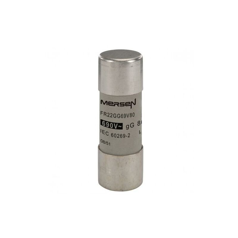 foto del prodotto fusibile 22 58mm 690v 80a eltfr22gg69v80 per impianti industriali