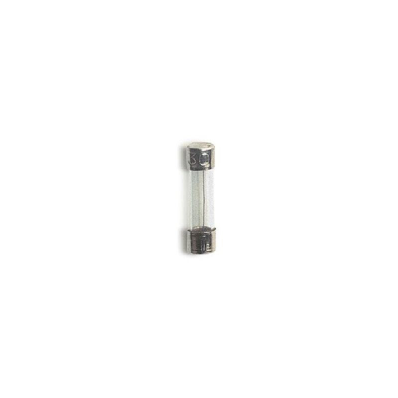 foto del prodotto fusibile 5 20 f 10a rapido wim5000022 per apparecchi domestici comuni