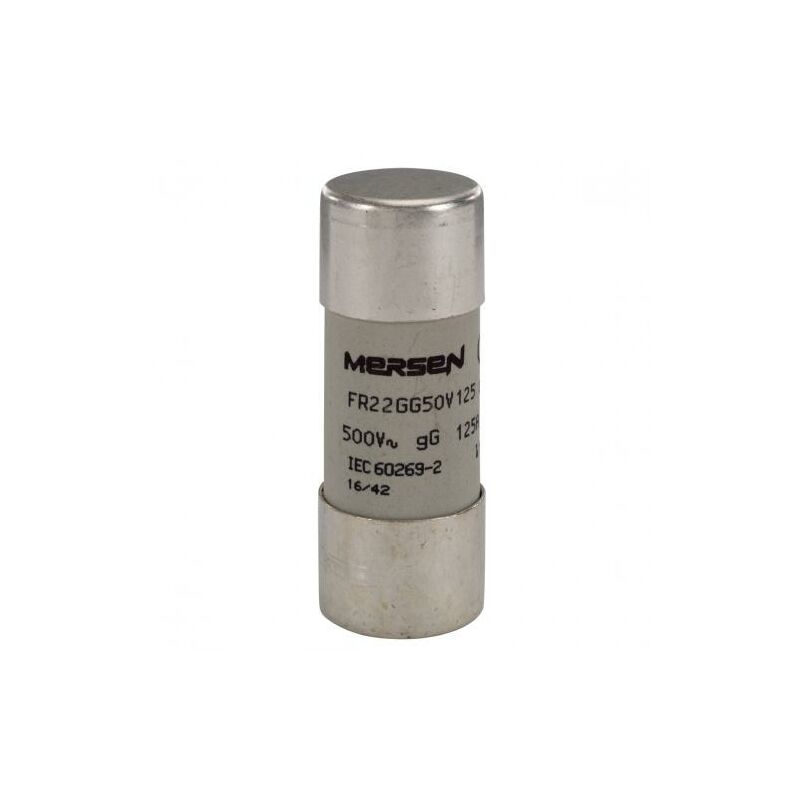 foto del prodotto fusibile bt gg 22 58 500vac125a eltfr22gg50v125 per protezione linee