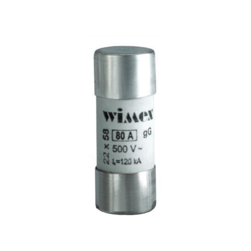foto del prodotto fusibile cilindrico industriale cf 22 gg 50a wimex cod. 5400350 