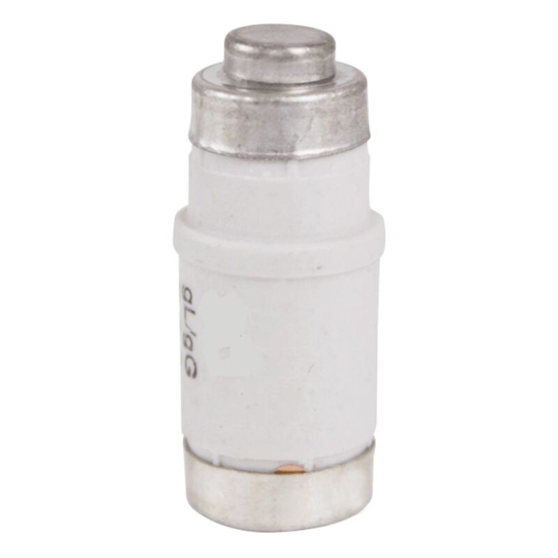 foto del prodotto fusibile noezed italweber d02 passo e18 curva rapida 63a 400v 1320063