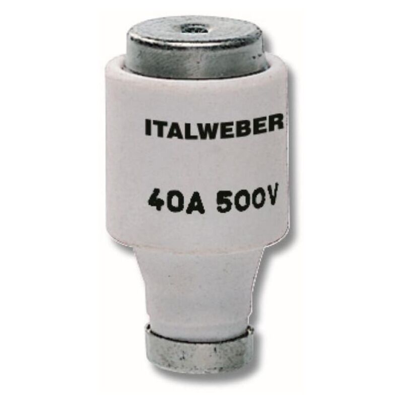 foto del prodotto fusibile ritardato italweber 3.7w 2 100a nero 1232035