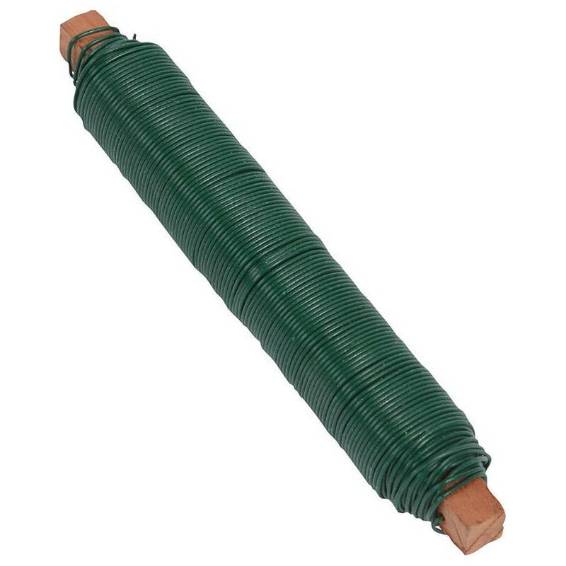 foto del prodotto fw fw 100g green lessing wire. floworld connection filo