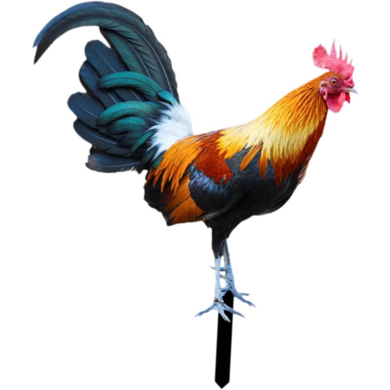 foto del prodotto gallo paletto da giardino ornamento di pollo statua di animale da giardino per prato da cortile, 21,5 x 25 cm