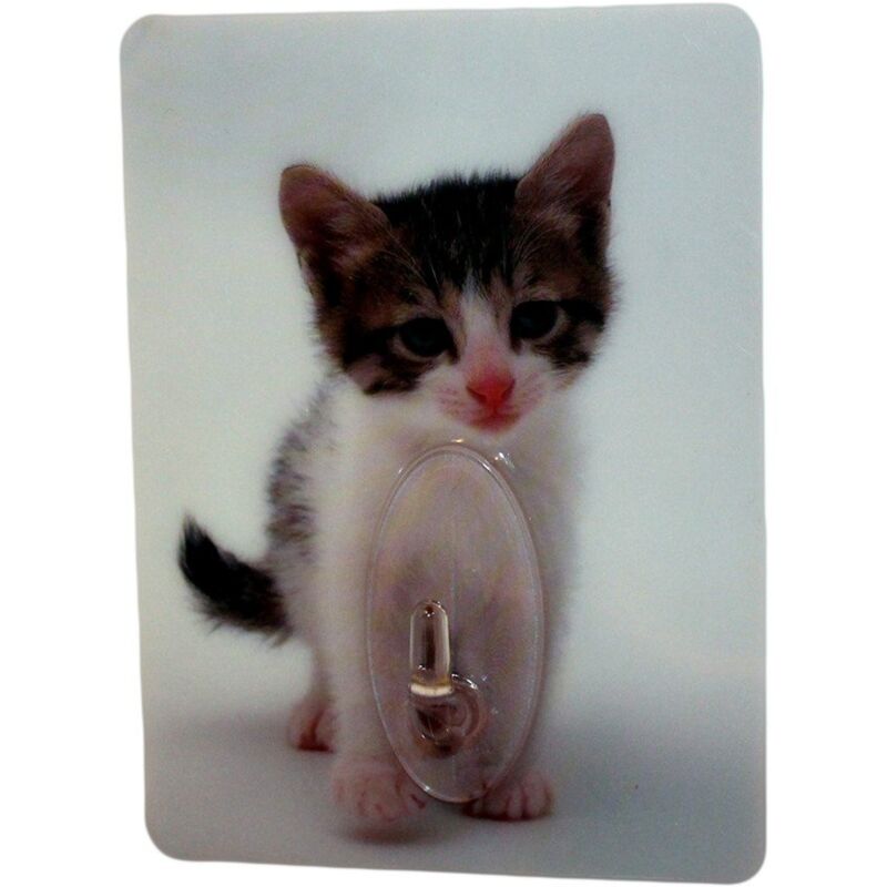 foto del prodotto gancio adesivo decorativo a forma di gatto