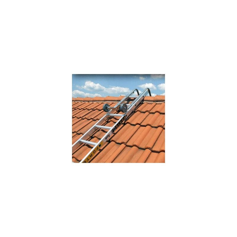 foto del prodotto gancio per scala da tetto 3030