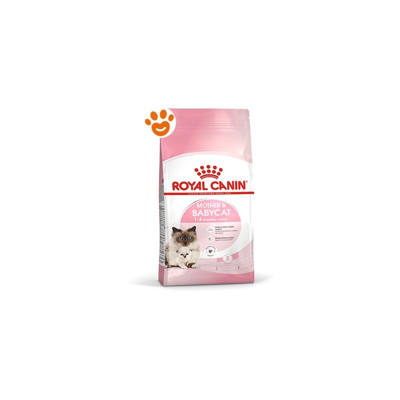 foto del prodotto gatto mother babycat royal canin