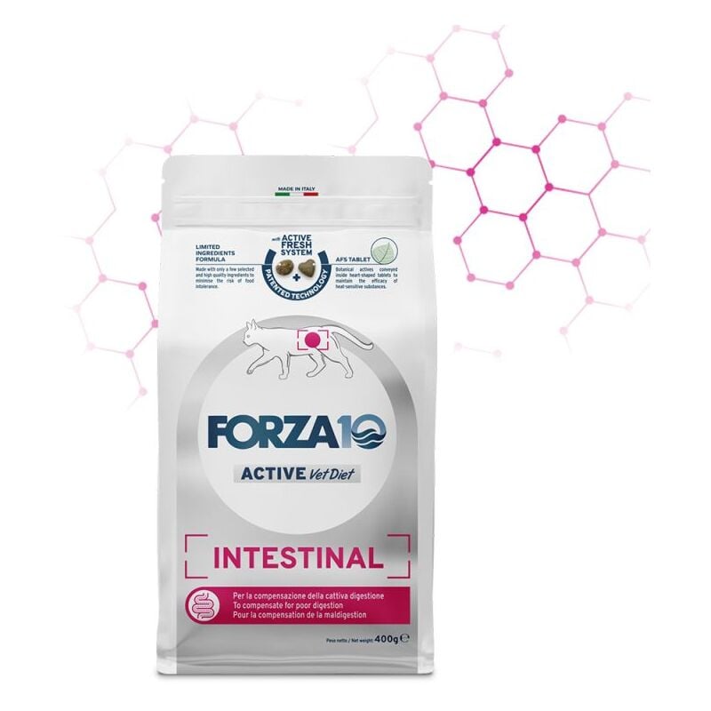 foto del prodotto gatto veterinary intestinal adult 400gr pesce forza10