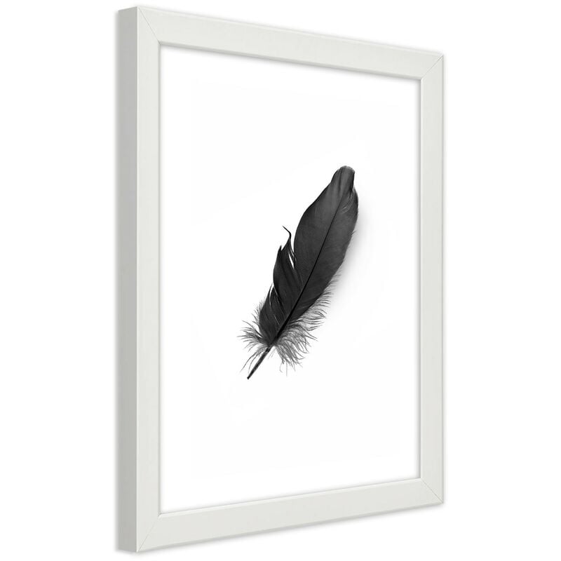 foto del prodotto gbshop - quadro con cornice, piuma nera - 20x30