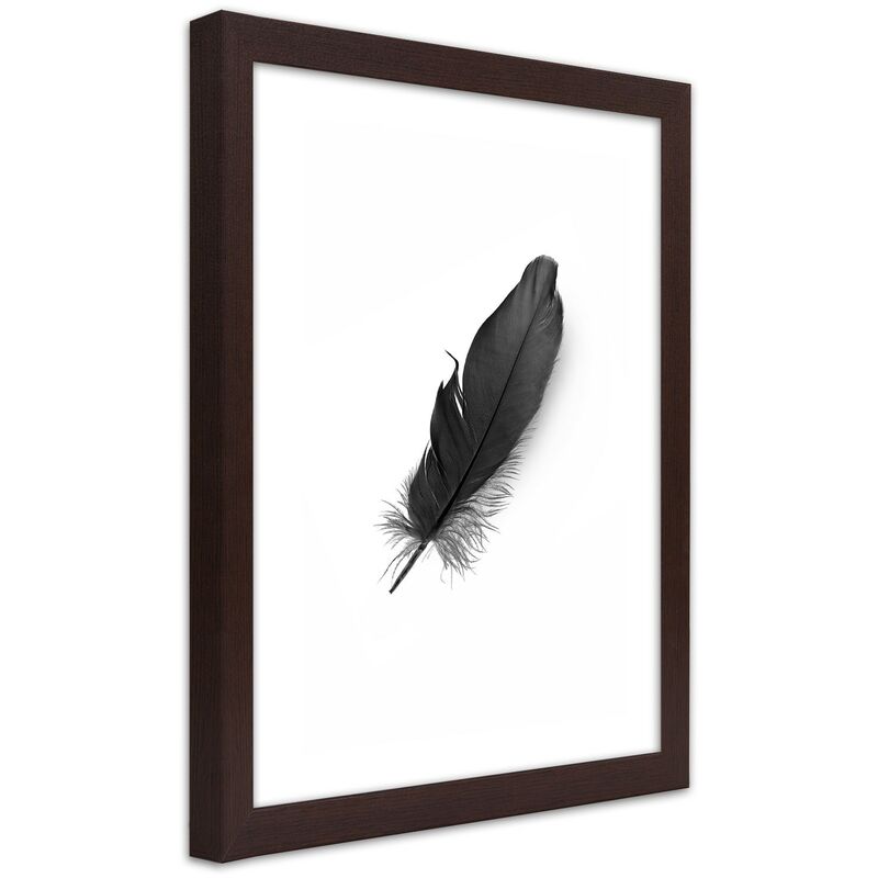 foto del prodotto gbshop quadro con cornice, piuma nera 30x45