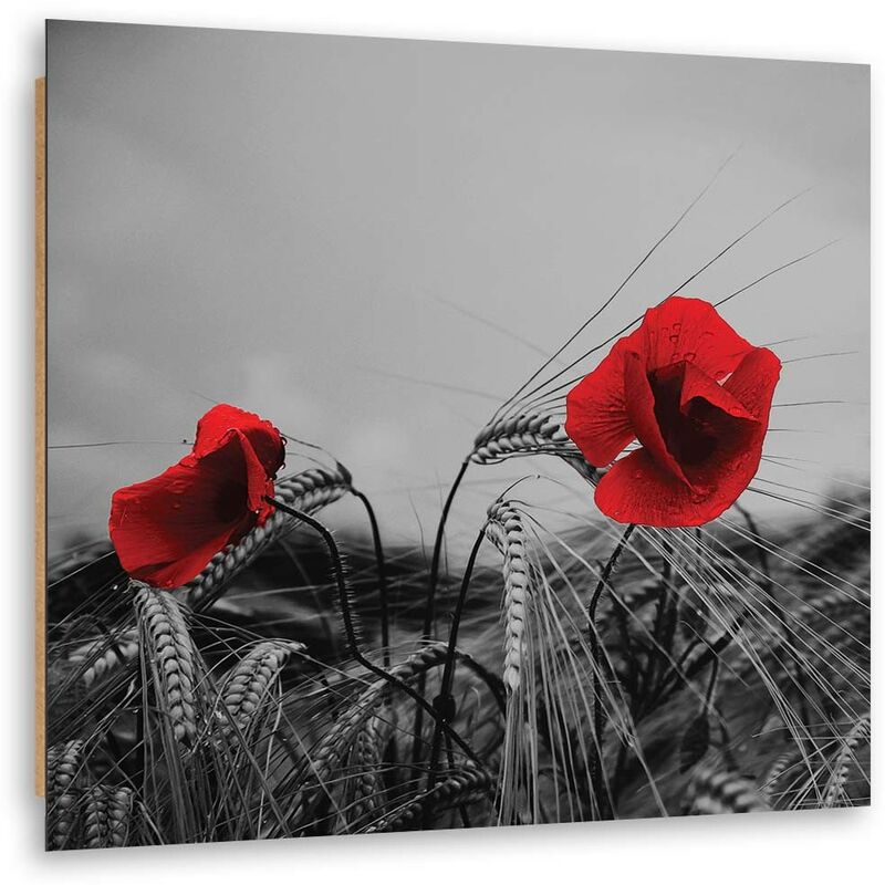 foto del prodotto gbshop quadro deco panel, papaveri rossi e grano 50x50