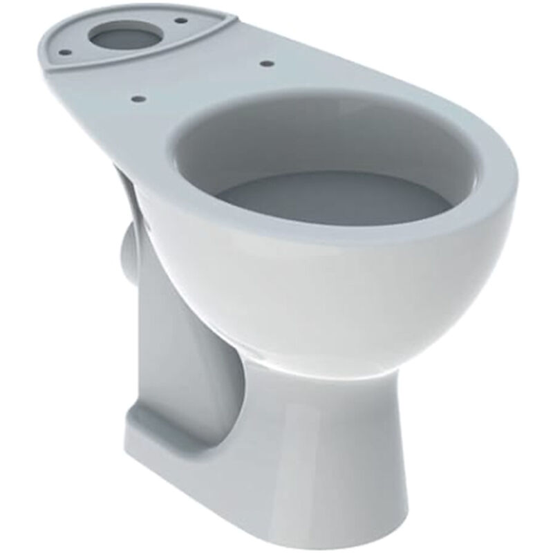 foto del prodotto geberit monoblocco colibri vaso scarico parete