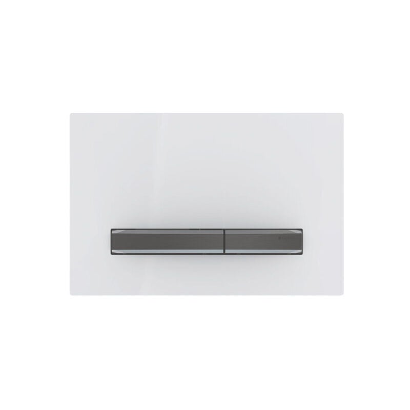 foto del prodotto geberit sigma50 plaques de d clenchement, pour rin age 2