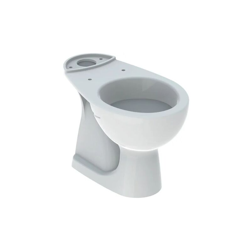 foto del prodotto geberit vaso a pavimento 36x62.5 monoblocco bianco lucido colibr senza copri wc