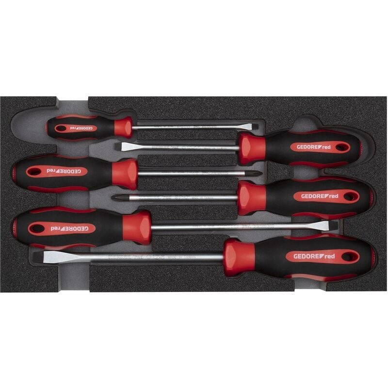 foto del prodotto gedore r22150013 set di cacciaviti ph sl 2 6 modulo ct 6 pezzi