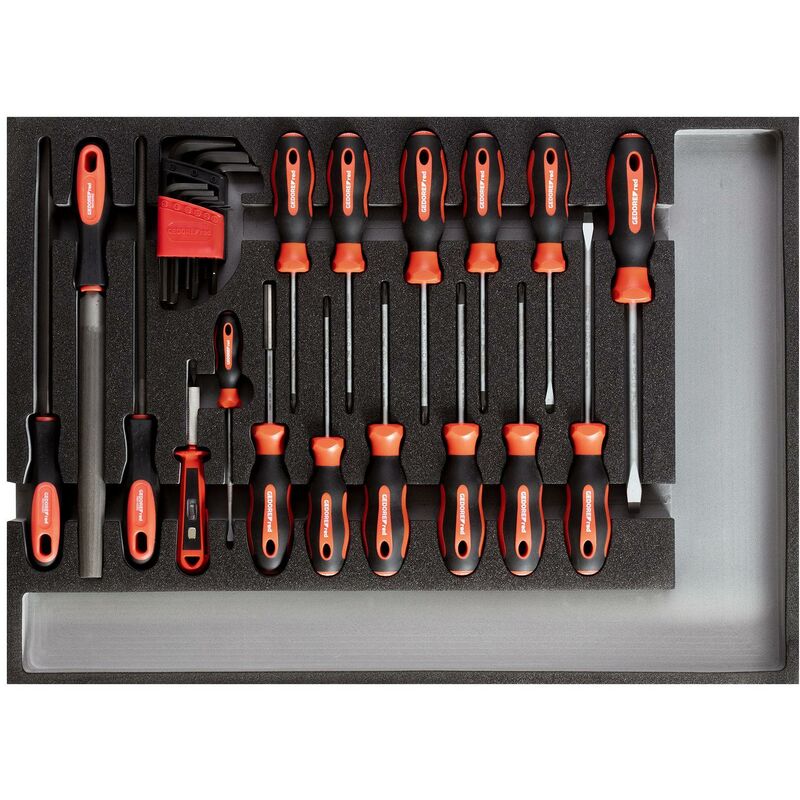 foto del prodotto gedore r22350002 set di attrezzi per cacciaviti lime modulo ct 26 pezzi